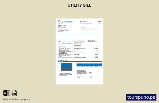 listo para imprimir plantilla de factura de servicios públicos de electricida 10